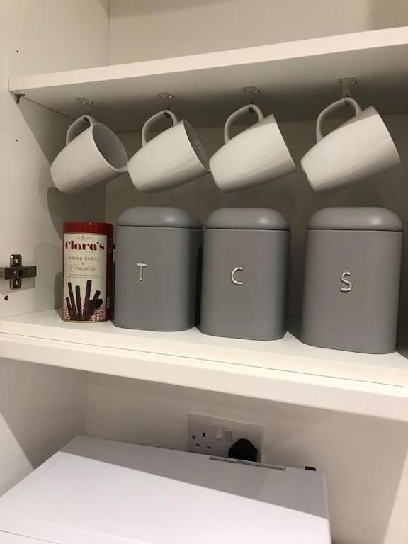 Ella Court Devon Apartman Torquay Kültér fotó