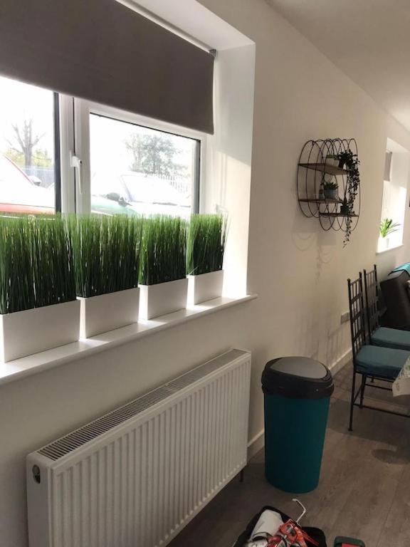 Ella Court Devon Apartman Torquay Kültér fotó